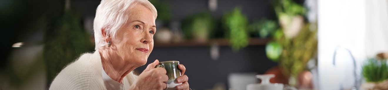 My project step by step